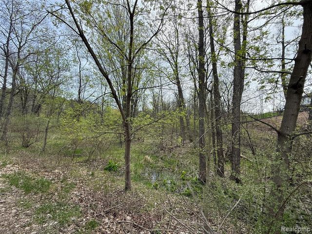 Lot 66 Preserve Drive, Fenton, MI 48430