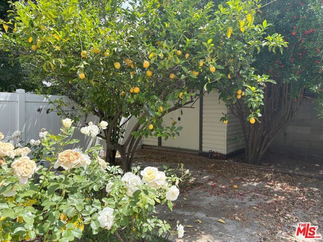 16699 Morrison Street, Encino (los Angeles), CA 91436
