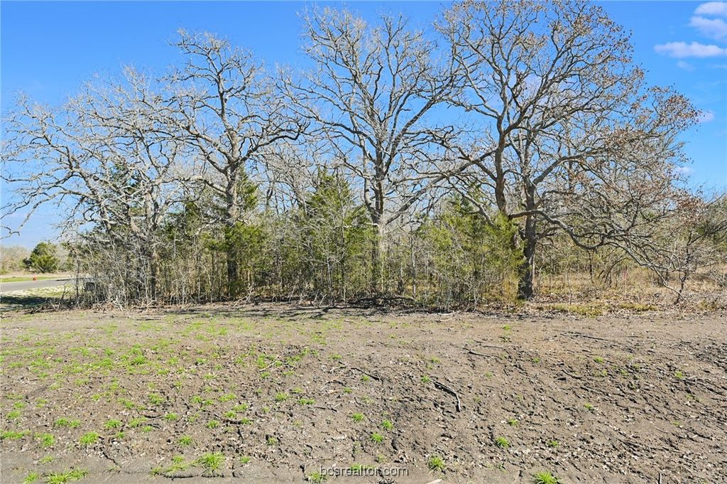 4019 Hollow Court, College Station, TX 77845 — photo 4
