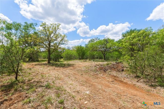 340 Red Hawk Drive, Dale, TX 78616