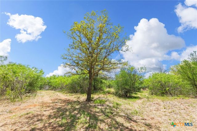 340 Red Hawk Drive, Dale, TX 78616