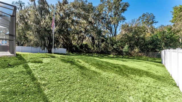 2908 BLACKWATER OAKS DRIVE, Mulberry, FL 33860