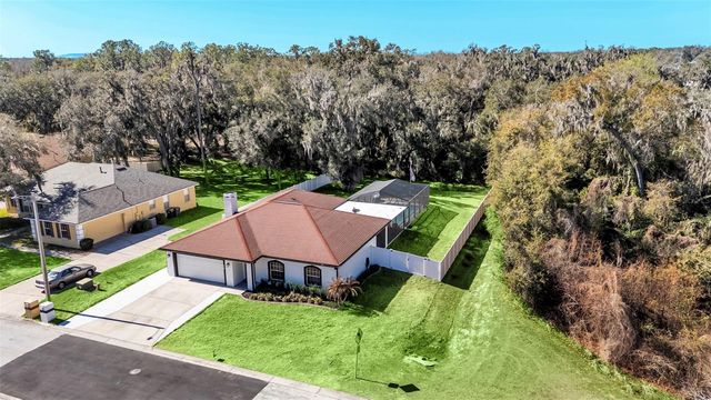 2908 BLACKWATER OAKS DRIVE, Mulberry, FL 33860