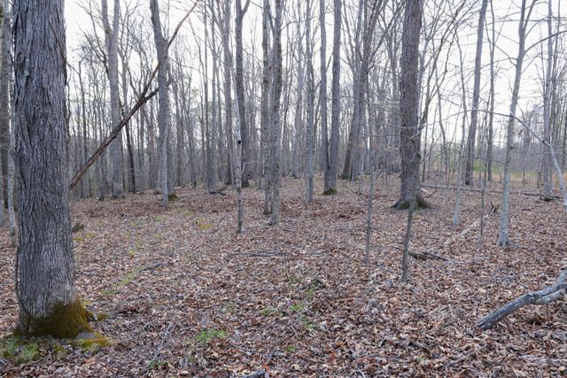 0 Bell Hollow Road, Vanleer, TN 37181