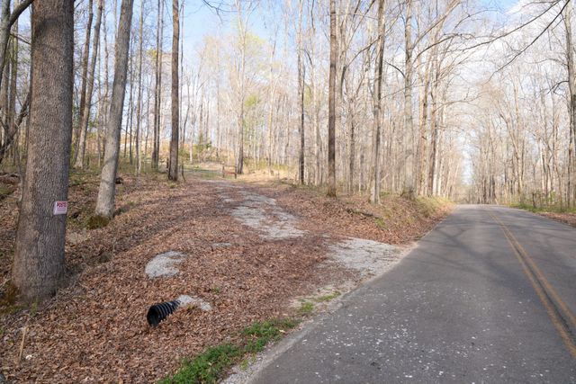 0 Bell Hollow Road, Vanleer, TN 37181