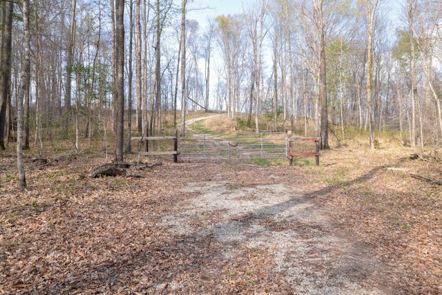 0 Bell Hollow Road, Vanleer, TN 37181