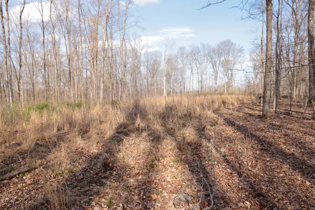 0 Bell Hollow Road, Vanleer, TN 37181
