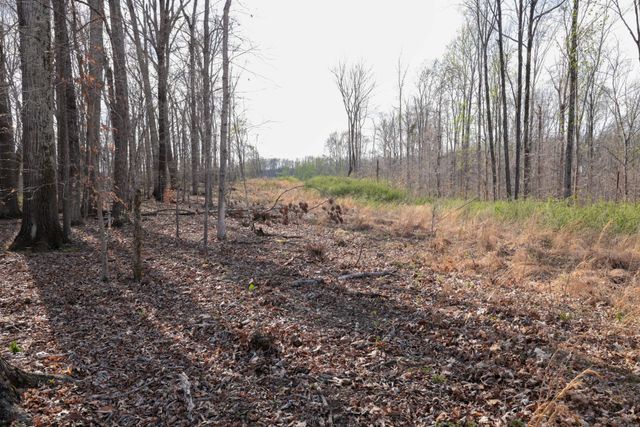 0 Bell Hollow Road, Vanleer, TN 37181