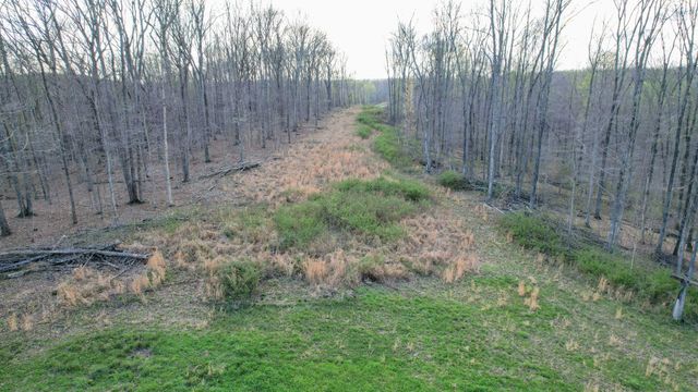 0 Bell Hollow Road, Vanleer, TN 37181