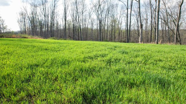 0 Bell Hollow Road, Vanleer, TN 37181