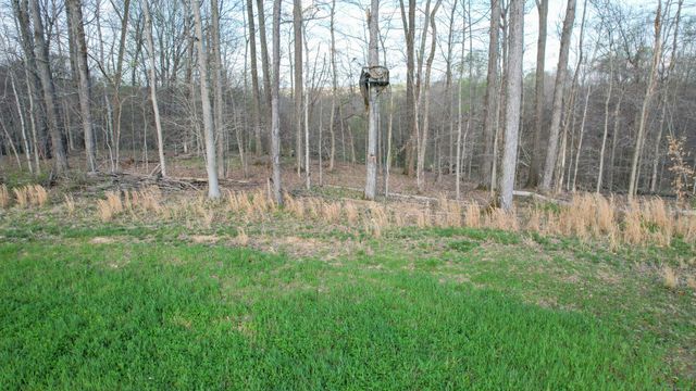 0 Bell Hollow Road, Vanleer, TN 37181