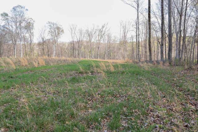 0 Bell Hollow Road, Vanleer, TN 37181