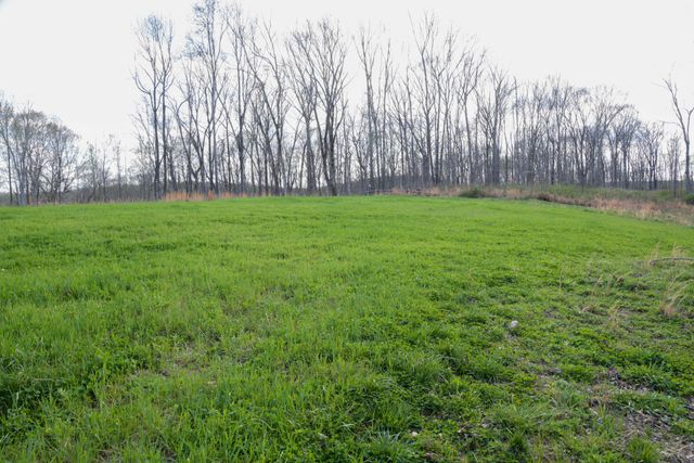 0 Bell Hollow Road, Vanleer, TN 37181