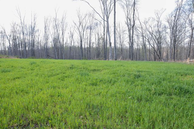 0 Bell Hollow Road, Vanleer, TN 37181