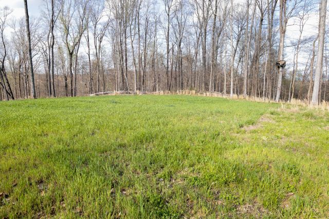 0 Bell Hollow Road, Vanleer, TN 37181