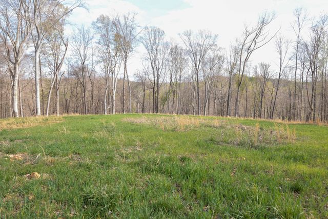 0 Bell Hollow Road, Vanleer, TN 37181