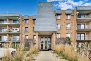 931 W Arquilla Drive 113, Glenwood, IL 60425