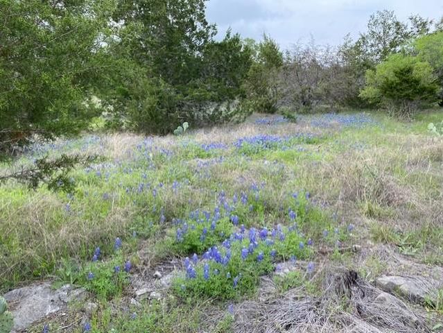 1365 Pedernales Hills RD, Johnson City, TX 78636