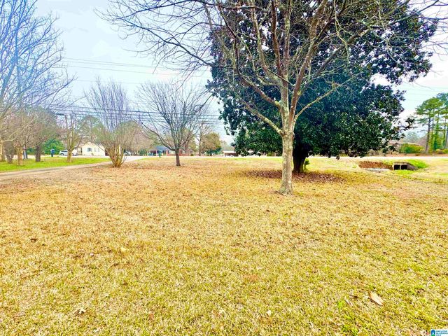 2013 TALLADEGA HIGHWAY, Sylacauga, AL 35150