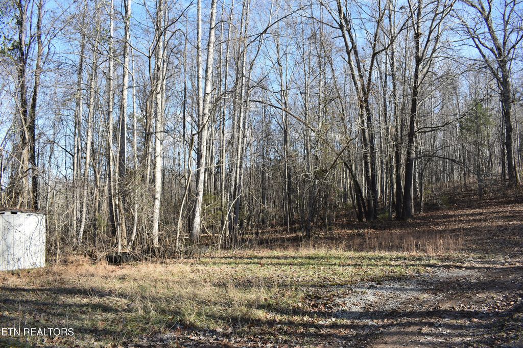 Lot 54 Bark Lane, Speedwell, TN 37870