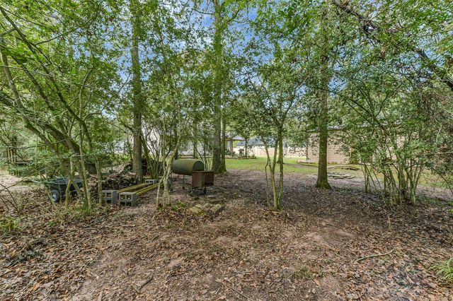 22802 Black Gum Drive, Magnolia, TX 77355