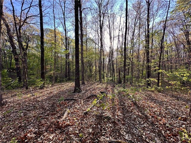 Chatham Drive, Bella Vista, AR 72714