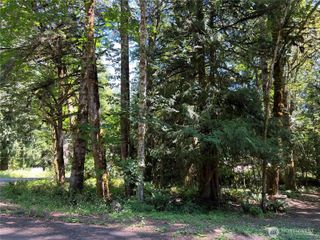 0 Mountain Trail, Brinnon, WA 98320