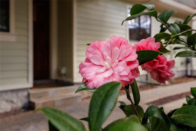 1612 E WASHINGTON STREET, Orlando, FL 32803