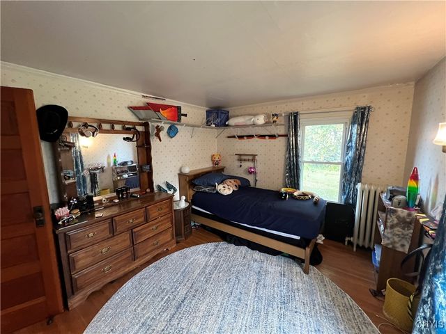 194 East Albany Street, Oswego, NY 13126