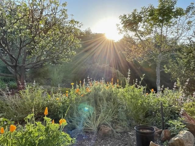 20137 Highway 76, Pauma Valley, CA 92061