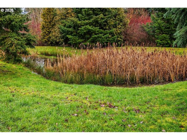 4201 N PIONEER CANYON Dr, Ridgefield, WA 98642