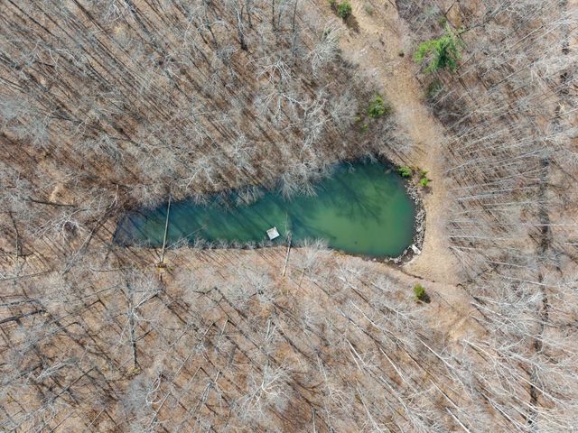 5155 Fire Tower Rd, Franklin, TN 37064