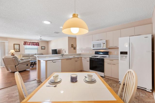 17449 SE 93RD VINE AVENUE, The Villages, FL 32162