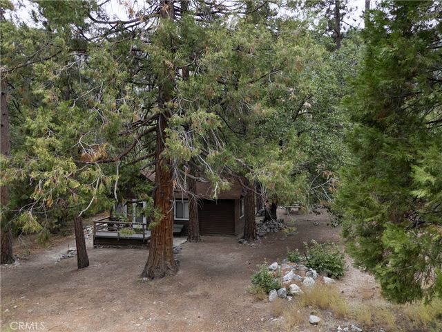 9165 Coffey Road, Forest Falls, CA 92339
