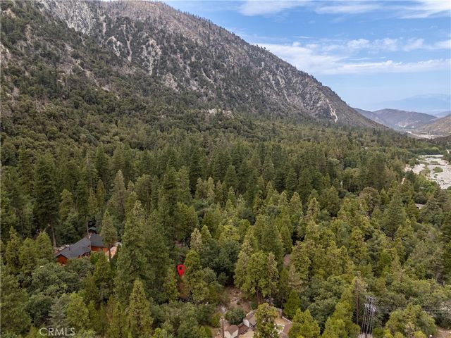 9165 Coffey Road, Forest Falls, CA 92339