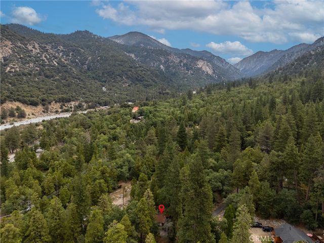 9165 Coffey Road, Forest Falls, CA 92339