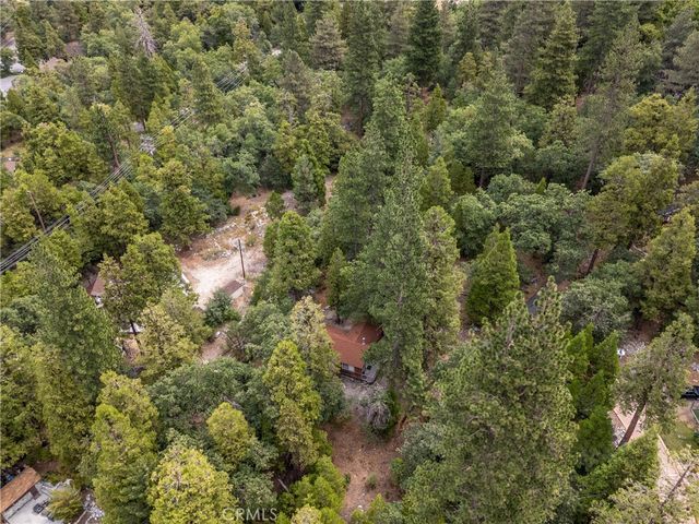 9165 Coffey Road, Forest Falls, CA 92339