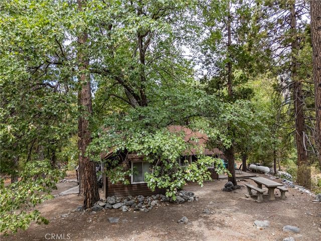 9165 Coffey Road, Forest Falls, CA 92339