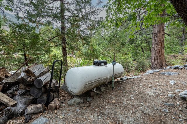 9165 Coffey Road, Forest Falls, CA 92339