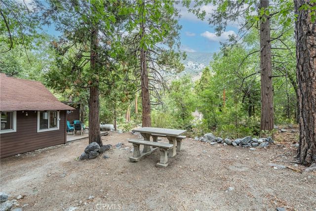9165 Coffey Road, Forest Falls, CA 92339