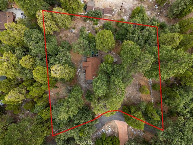 9165 Coffey Road, Forest Falls, CA 92339