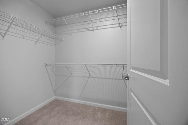 738 Channing Park Circle, Cary, NC 27519