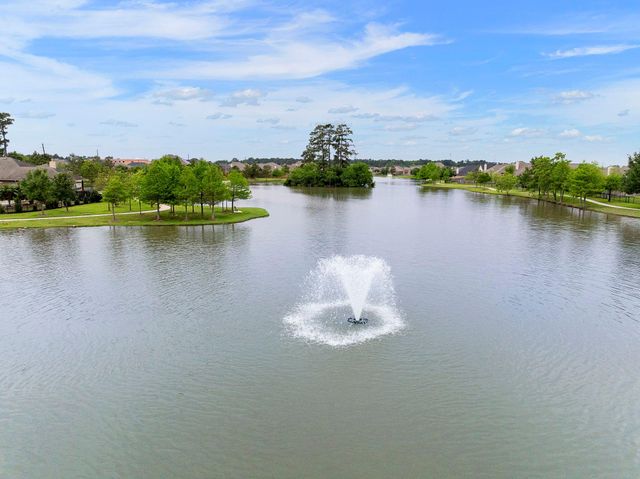 22810 Dale River Road, Tomball, TX 77375