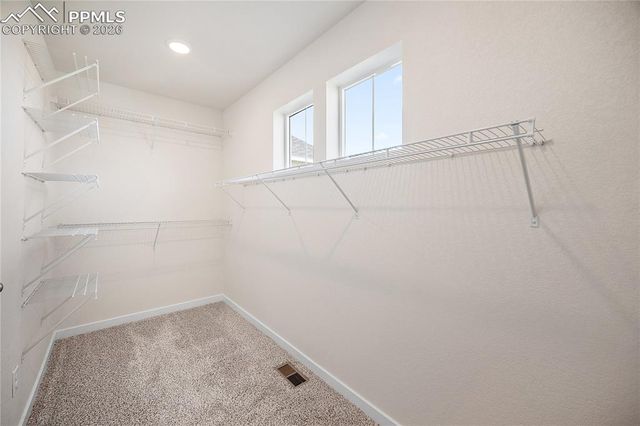 12011 Lake Trout Drive, Colorado Springs, CO 80925