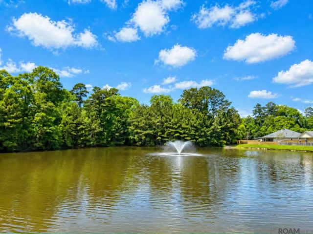 26461 Avoyelles Ave, Denham Springs, LA 70726