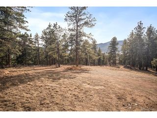 260 Bailey Dr, Bailey, CO 80421