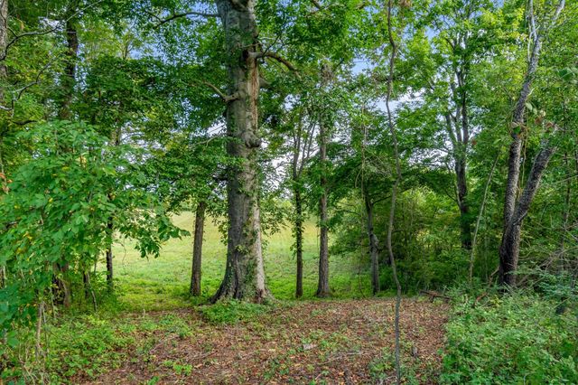 2736 Critz Lane, Thompsons Station, TN 37179