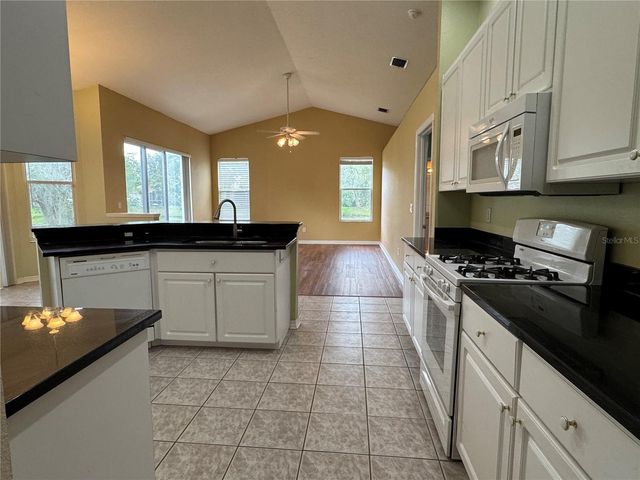 10207 QUAILS LANDING AVENUE, Tampa, FL 33647