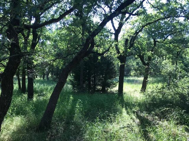00 Ridgeline Drive, Chico, TX 76431