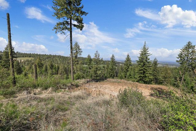 NKA N Moose Drool Ln, Spokane, WA 99208